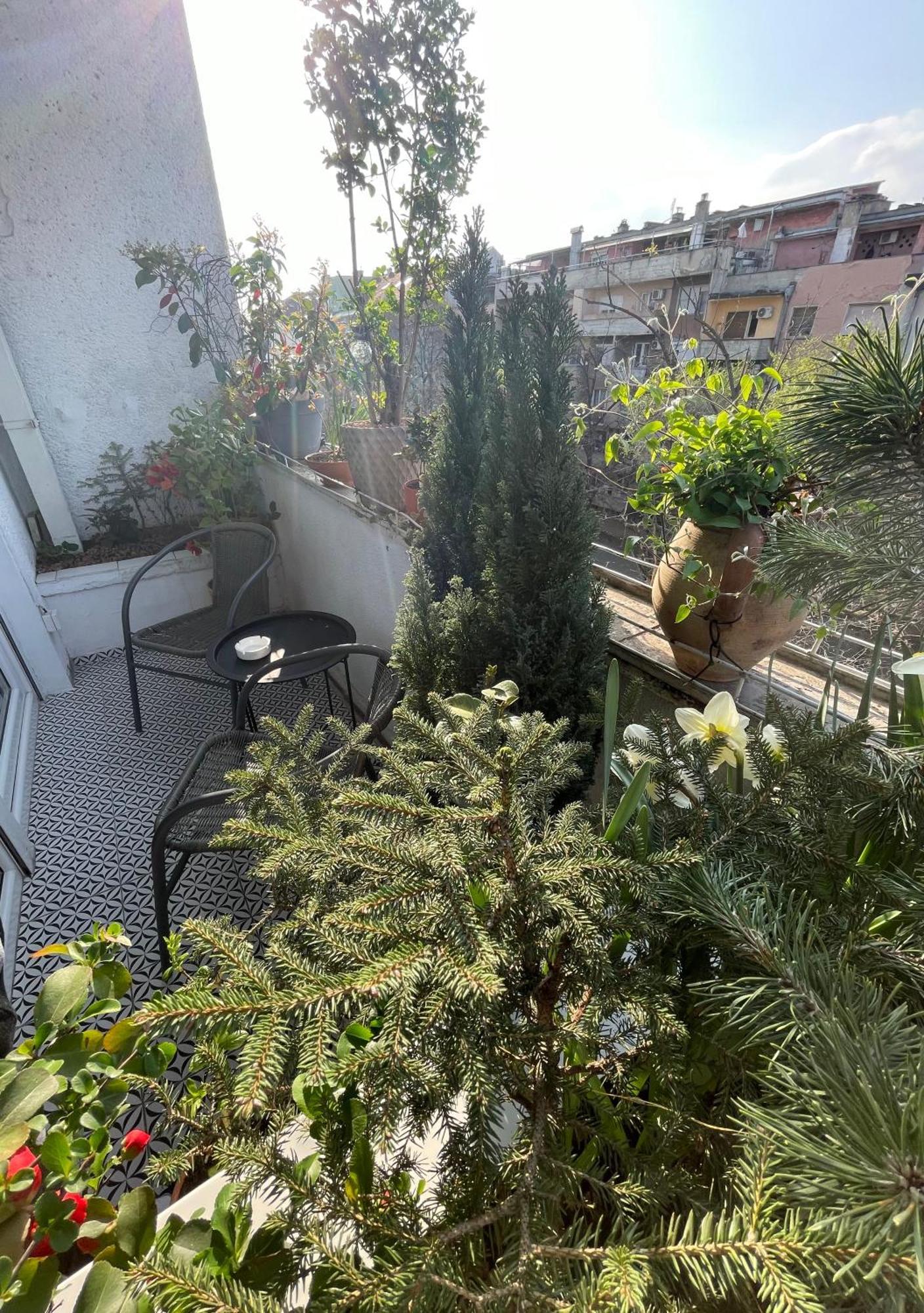 Apartman Avenia Novi Sad Exterior foto